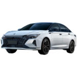 چادر شاین مکس